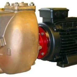 Forani & Pecorari BRONZE MOTOR PUMP UNIT 400V