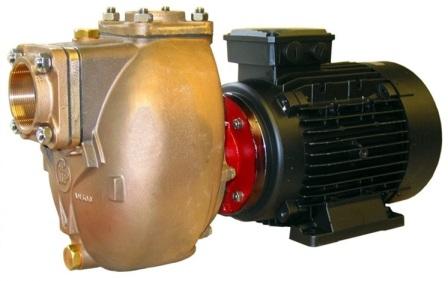 Forani & Pecorari BRONZE MOTOR PUMP UNIT 400V