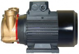 BRONZE TURBINE MOTOR PUMP UNIT 3/50/415V